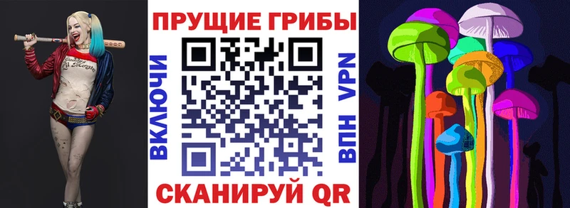 Псилоцибиновые грибы Magic Shrooms  Галич 